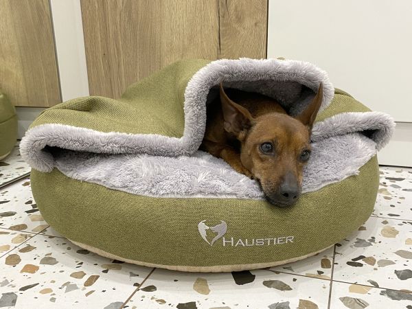 Лежак для Собак та Котів Lounge Olive з капюшоном