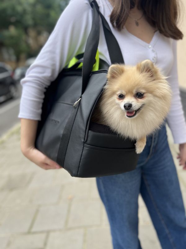 Carrying bag for Dogs & Cats Voyage Black faux leather