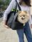 Carrying bag for Dogs & Cats Voyage Black faux leather