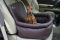 Dog car seat Luxury Chocolate