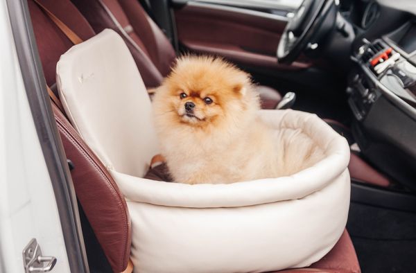 Автокрісло для Собак Luxury Ivory