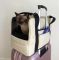 Carrying bag for Dogs & Cats Voyage Ivory faux leather