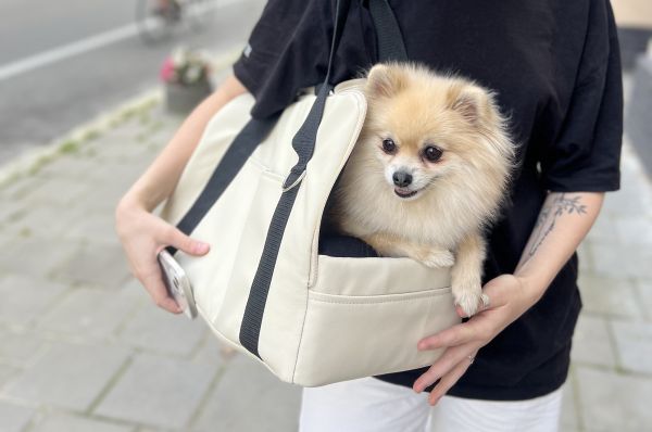 Carrying bag for Dogs & Cats Voyage Ivory faux leather