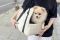 Carrying bag for Dogs & Cats Voyage Ivory faux leather