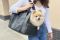 Carrying bag for Dogs & Cats Voyage Black faux leather