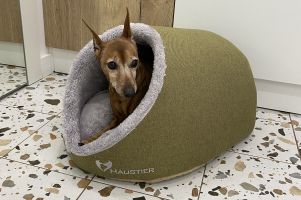 Будиночок для Кота або Собаки Cave Olive