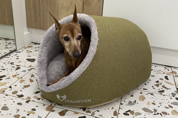 Будиночок для Кота або Собаки Cave Olive
