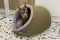 Будиночок для Кота або Собаки Cave Olive