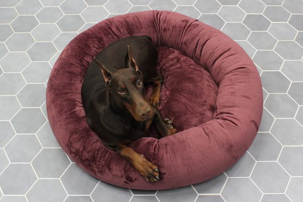 Лежак для Собак та Котів Bublyk Plum