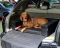 Dog bed for car Elegant Black Waterproof