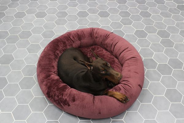Лежак для Собак та Котів Bublyk Plum