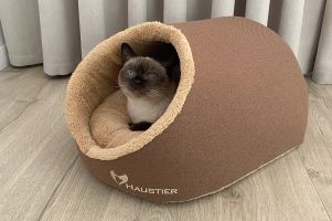 Будиночок для Кота або Собаки Cave Honey