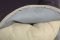 Waterproof dog bed Pontoon Gray&Violet eco leather