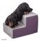 Removable cover for dog stairs on 3 steps