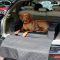 Dog bed for car Elegant Black Waterproof