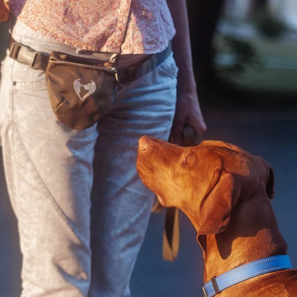 Dog treat bag Gold Sand