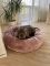 Pet Bagel Bed Caramel