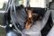 Dog Car seat cover Elegant Black with door protection