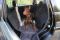 Dog Car seat cover Elegant Black with door protection