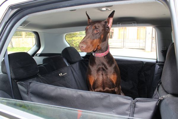 Dog Car seat cover Elegant Black with door protection