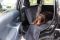 Dog Car seat cover Elegant Black with door protection