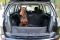 Dog Car seat cover for Suv Cargo Elegant Black