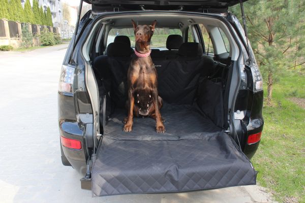 Dog Car seat cover for Suv Cargo Elegant Black