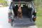 Dog Car seat cover for Suv Cargo Elegant Black
