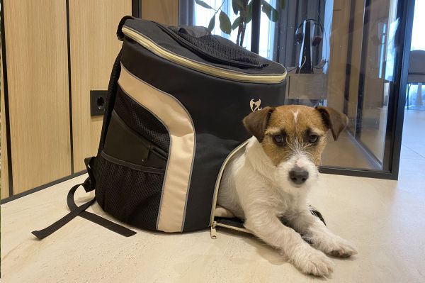 Backpack carrier for dogs and cats Discovery Black