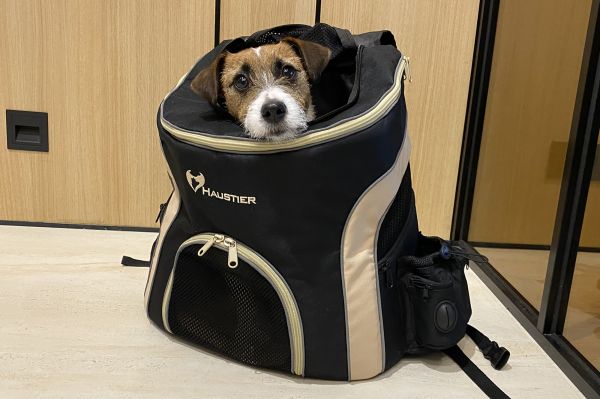 Backpack carrier for dogs and cats Discovery Black