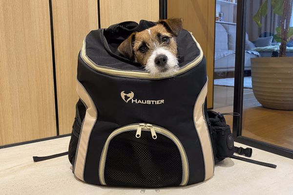 Backpack carrier for dogs and cats Discovery Black