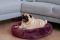 Лежак для Собак та Котів Bublyk Plum