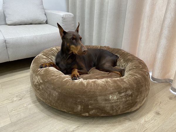 Лежак для Собак та Котів Bublyk Nut