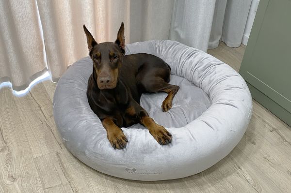 Лежак для Собак та Котів Bublyk Silver