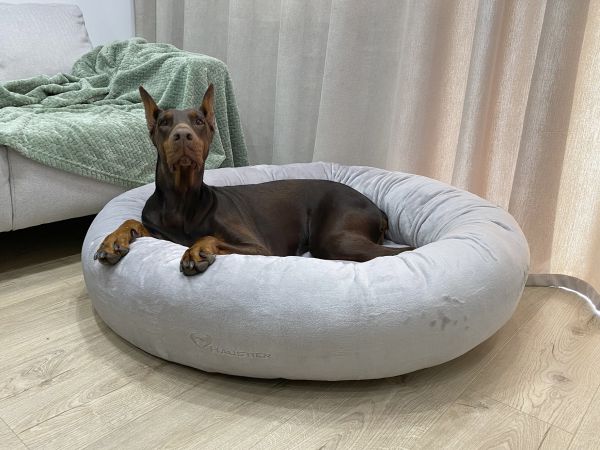 Лежак для Собак та Котів Bublyk Silver