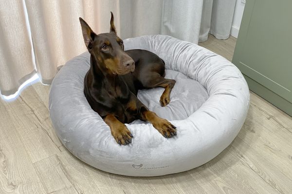 Лежак для Собак та Котів Bublyk Silver