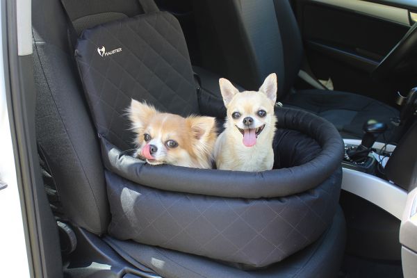 Dog car seat Elegant Black
