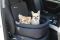 Dog car seat Elegant Black