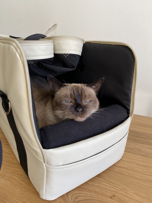 Carrying bag for Dogs & Cats Voyage Ivory faux leather