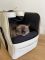 Carrying bag for Dogs & Cats Voyage Ivory faux leather