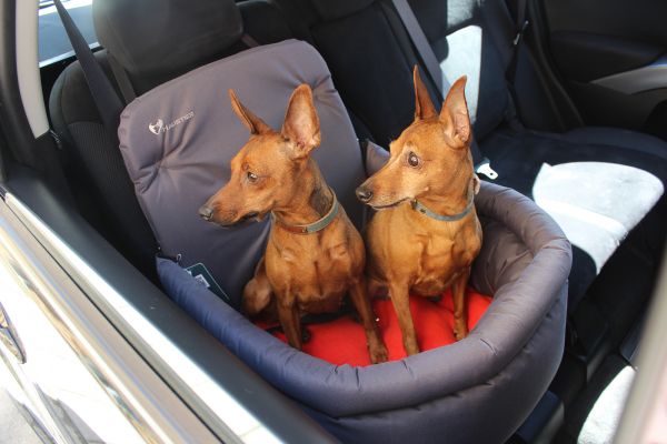 Dog car seat Happy Travel Gray