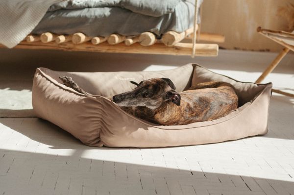 Лежак для Собак та Котів Sweet Dreams Beige велюр