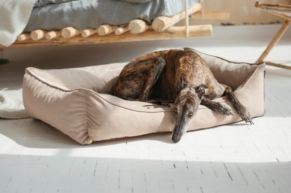 Лежак для Собак та Котів Sweet Dreams Beige велюр