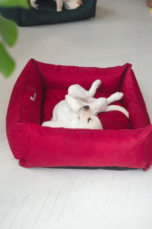 Waterproof dog bed Sweet Dreams Winter Cherry