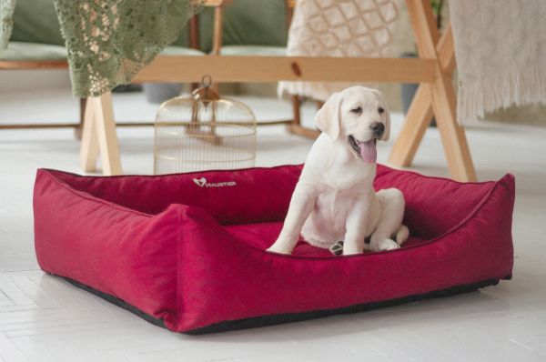 Waterproof dog bed Sweet Dreams Winter Cherry