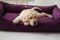 Лежак для Собак та Котів Sweet Dreams Purple рогожка