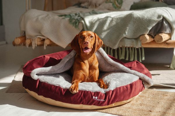 Cat & Dog cave bed Bordo