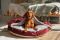 Cat & Dog cave bed Bordo