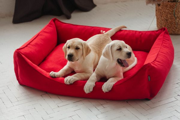 Dog & Cat bed Sweet Dreams Red