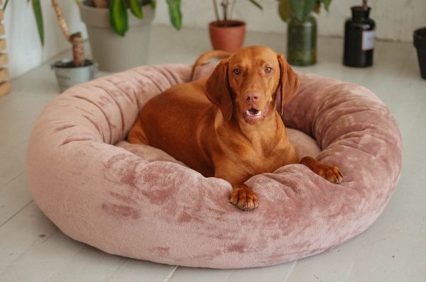 Pet Bagel Bed Caramel
